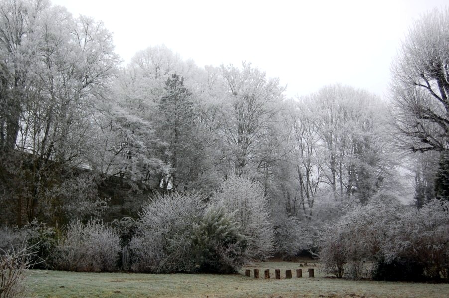 jardin givre 0031
