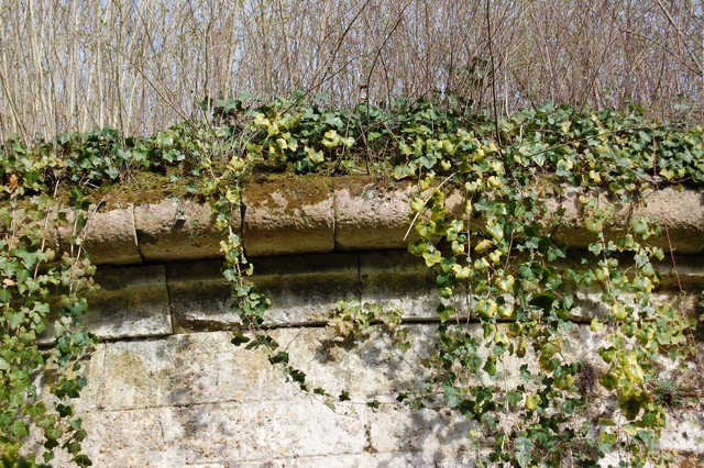 Senlis Bastion détail